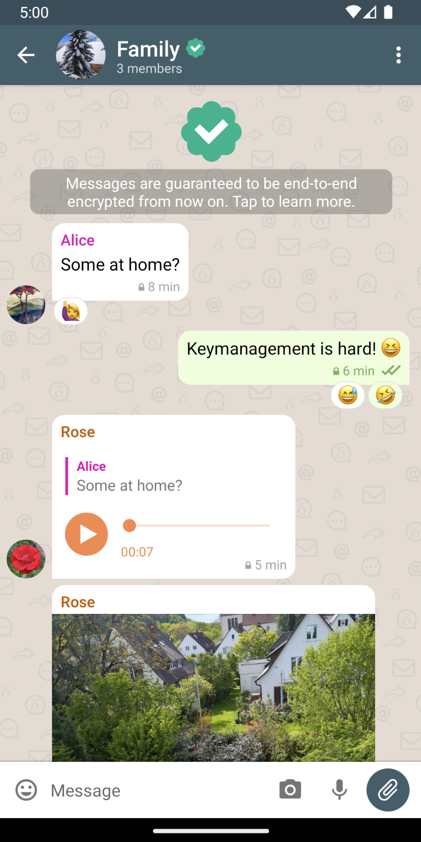 Screenshot Chat View